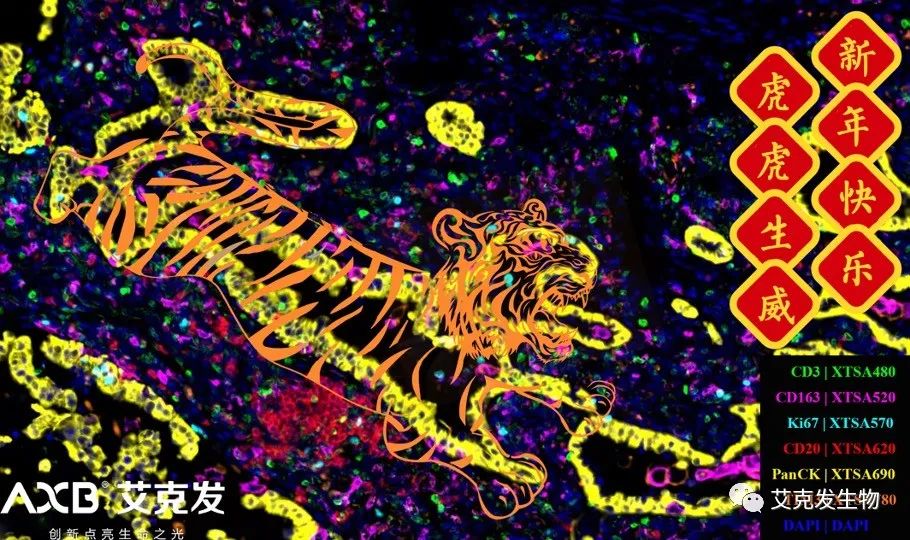 「如虎添翼」新的一年，艾克發(fā)生物愿與您攜手共進(jìn)