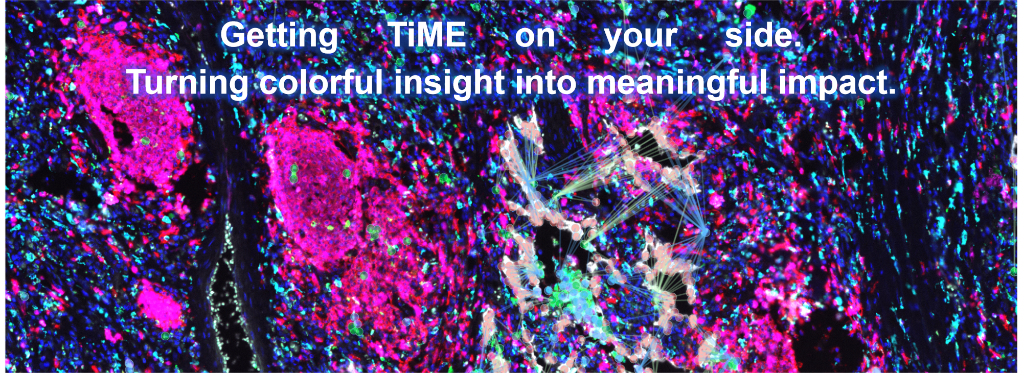 banner1