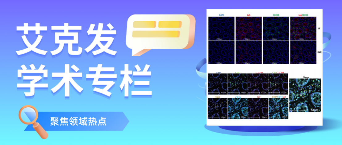 艾克發(fā)學(xué)術(shù)｜令狐恩強(qiáng)團(tuán)隊(duì)提出ART治療后PLWH腸道免疫新觀(guān)點(diǎn)